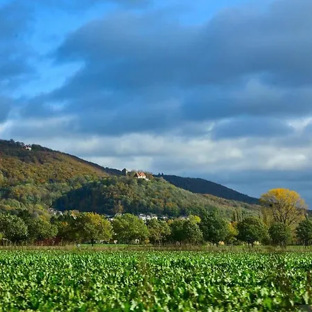 Villa Schaumburg Schaumburg