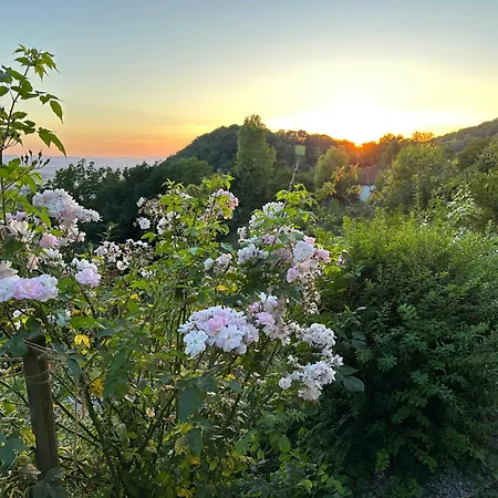 Schaumburg - Boutique Rinteln