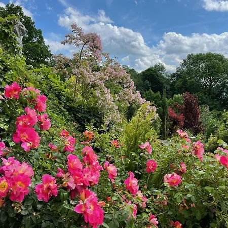 Schaumburg - Boutique 3* Rinteln